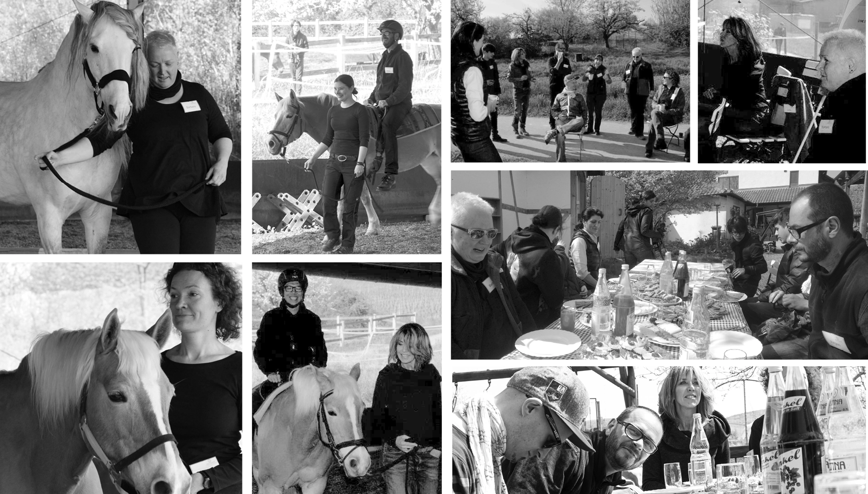 Coaching-Situation auf der Pferdekoppel: Mensch und Pferd im direkten Kontakt zur Schulung von Führung und Klarheit.