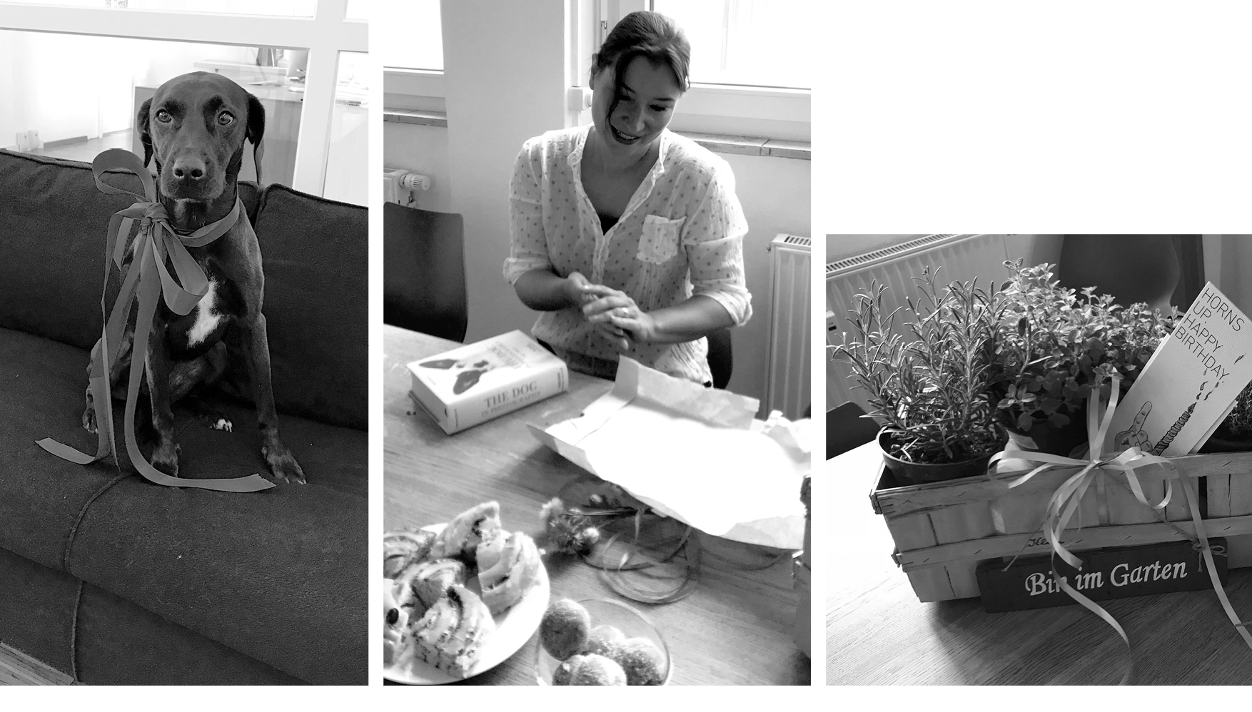 A black dog with a ribbon around its neck sits on a couch, a woman smiles unpacking a gift, and a wooden crate with potted plants and a birthday card.