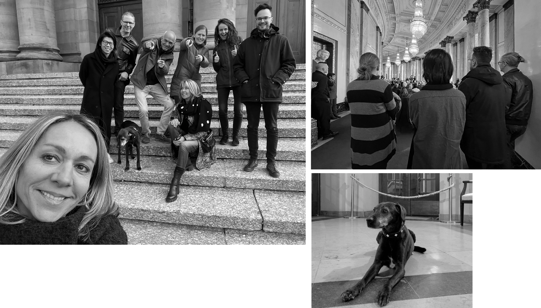 Collage of three black and white photos: a woman taking a selfie with a group of people and a dog on outdoor steps; people watching a ceremony in a grand hall with chandeliers; a dog lying on a marble floor near a roped-off area.