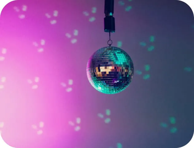 A disco ball at an office party of Analyse2
