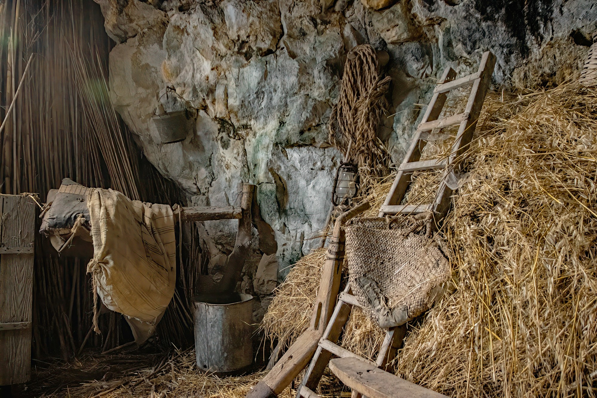 ARRA + XRRA forthcoming voices