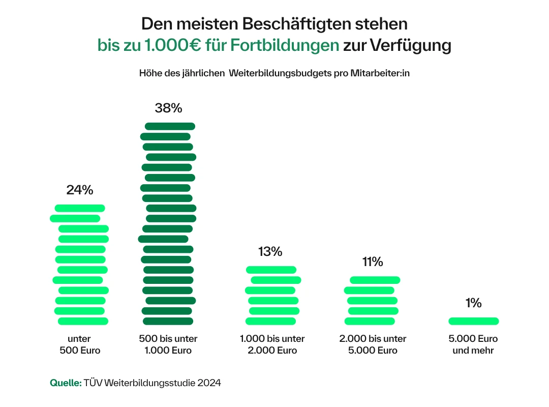 Weiterbildungsbudget pro Mitarbeiter:in
