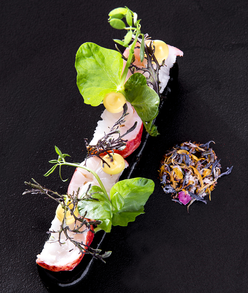 présentation du dressage du homard