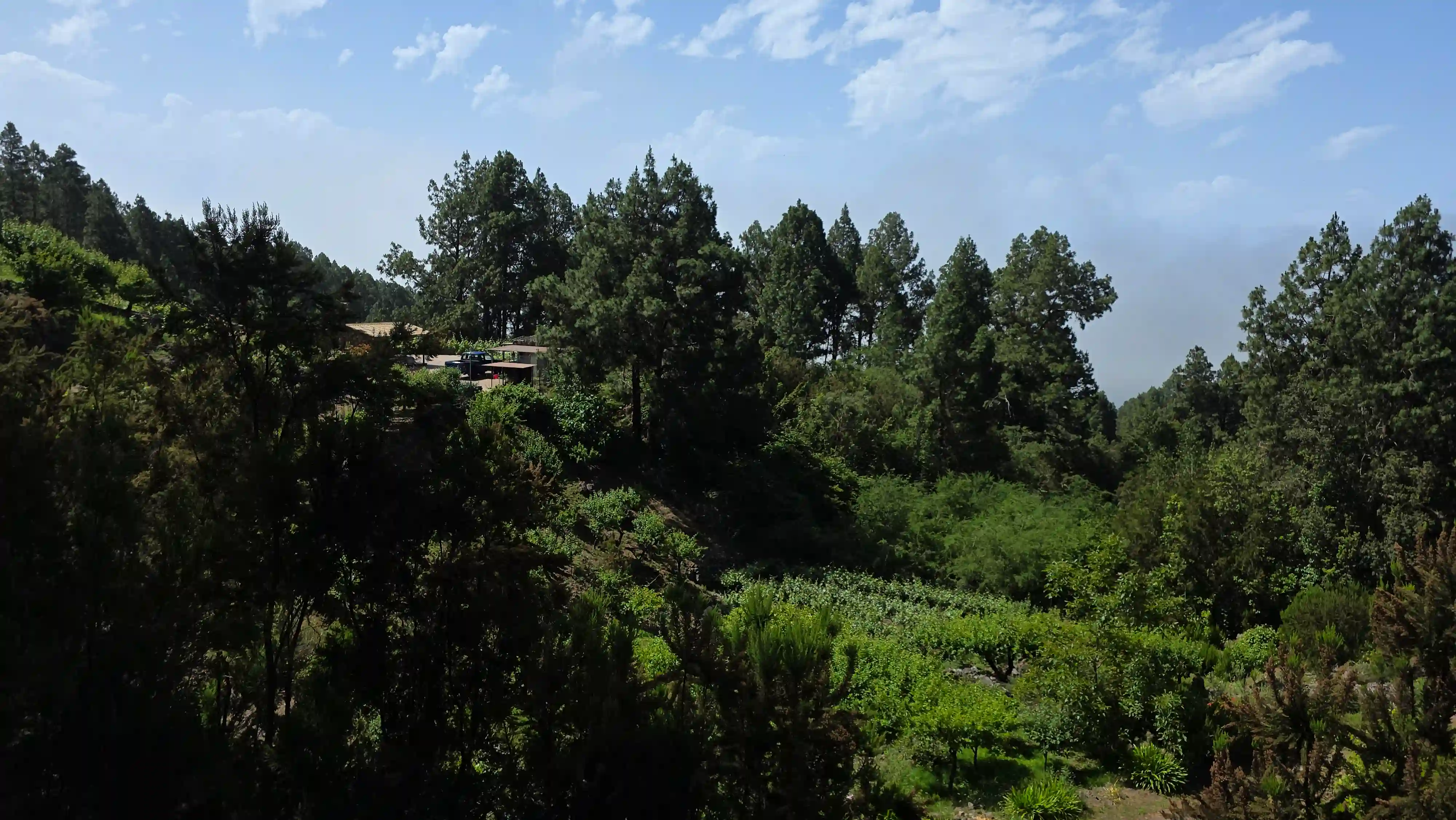 Weiter Blick in die grüne Landschaft Teneriffas