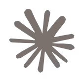 Abstract symmetrical starburst shape with multiple elongated rounded spikes radiating from the center in dark gray.