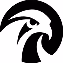 Falcon�s Beyond Global, Inc.