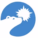 Polar Power, Inc.