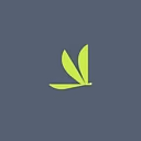 Volato Group, Inc.
