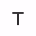 TON Strategy Co.