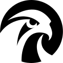 Falcon�s Beyond Global, Inc.