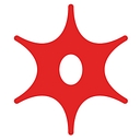 Murphy Oil Corp.