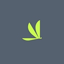 Volato Group, Inc.