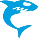 Haivision Systems, Inc.
