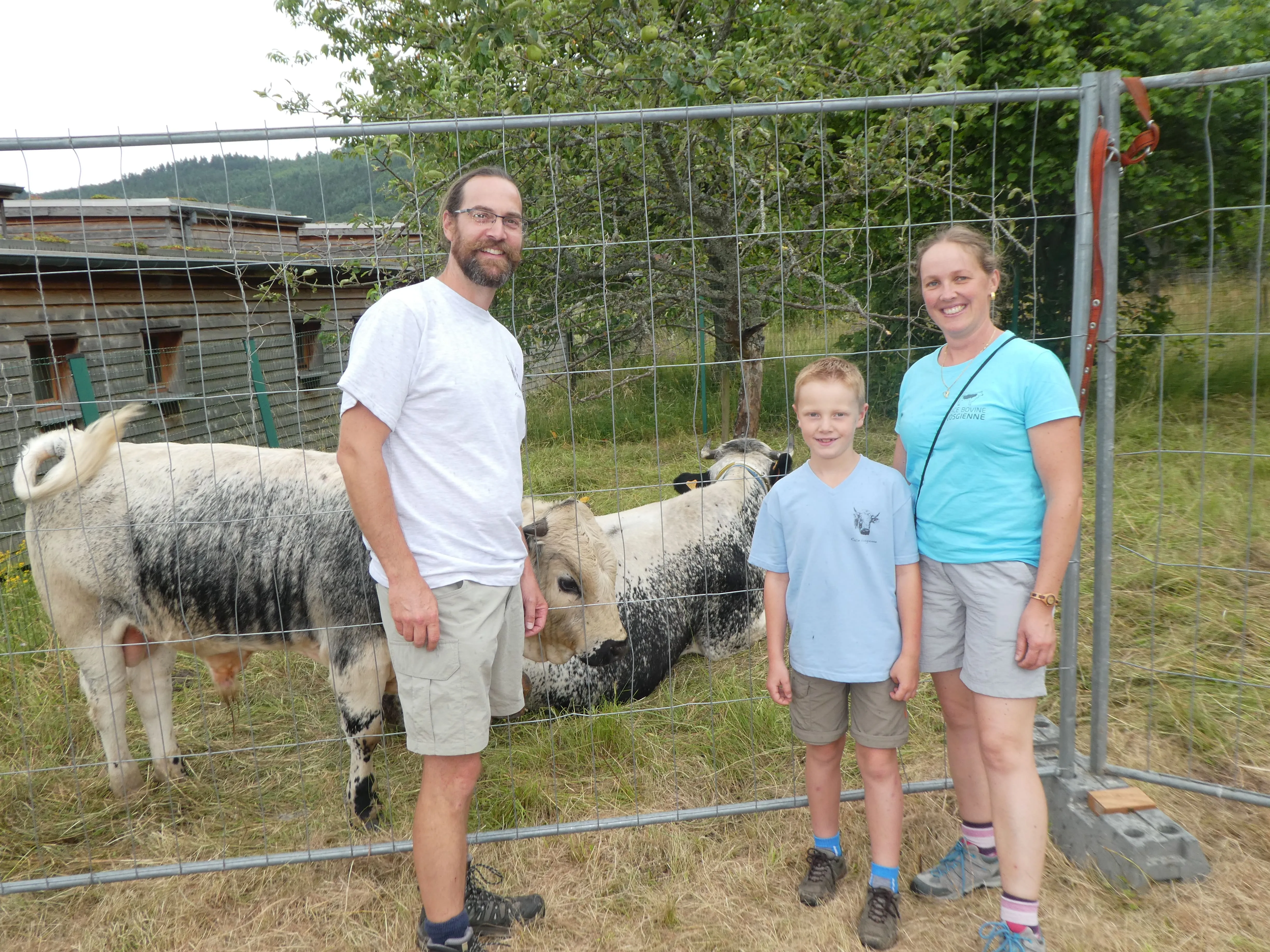 image de la famille du domaine