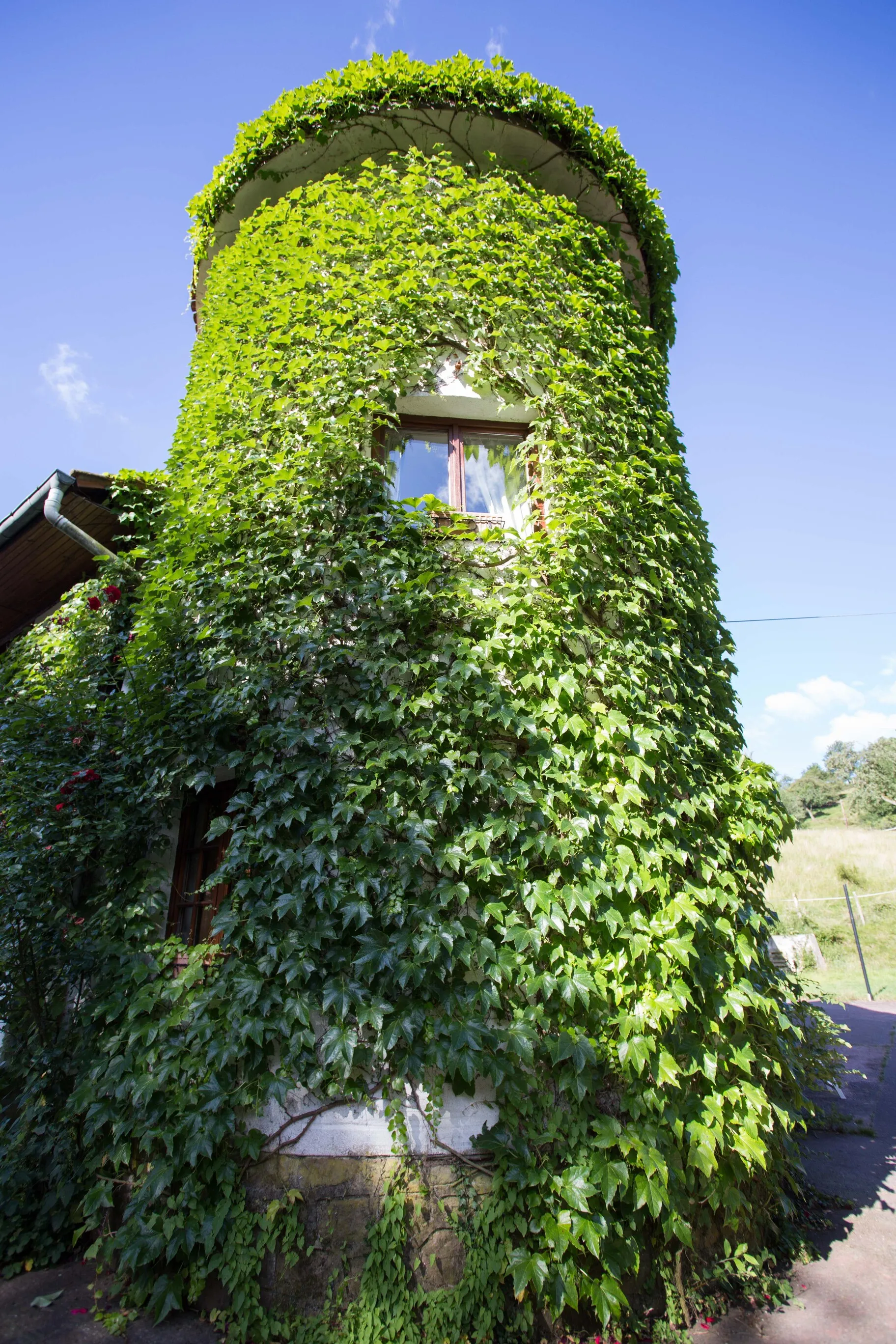 Photo du gite de la tour - tour
