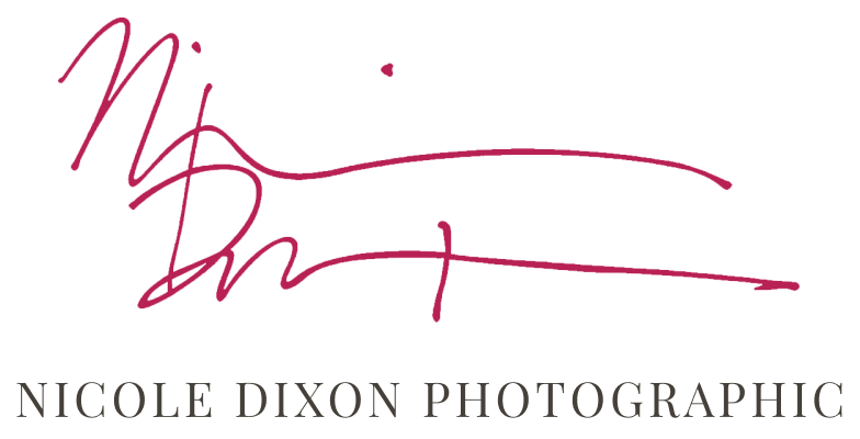 Nicole Dixon Logo, click to view home page