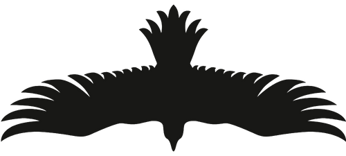 Black silhouette of a bird with outstretched wings in flight.