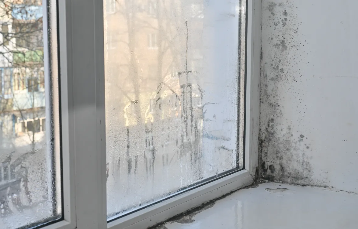 New Year, Same Disrepair?