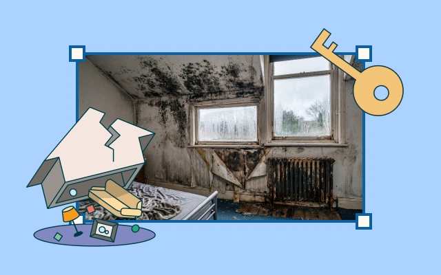 What to do if your landlord is failing to ensure safe and healthy living conditions