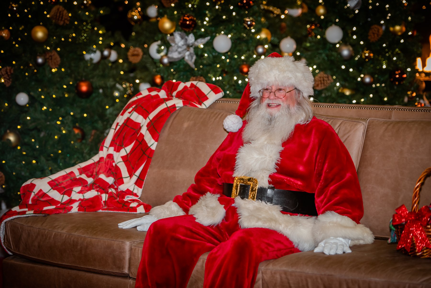 Santa Marty smiling on a sofa surrounded by decorated Christmas trees
