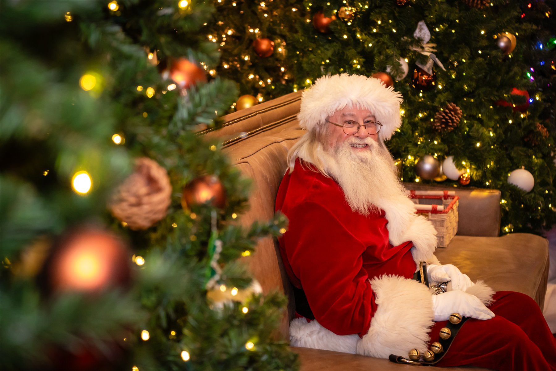 Santa Marty smiling beside glowing Christmas trees at Liberty Center