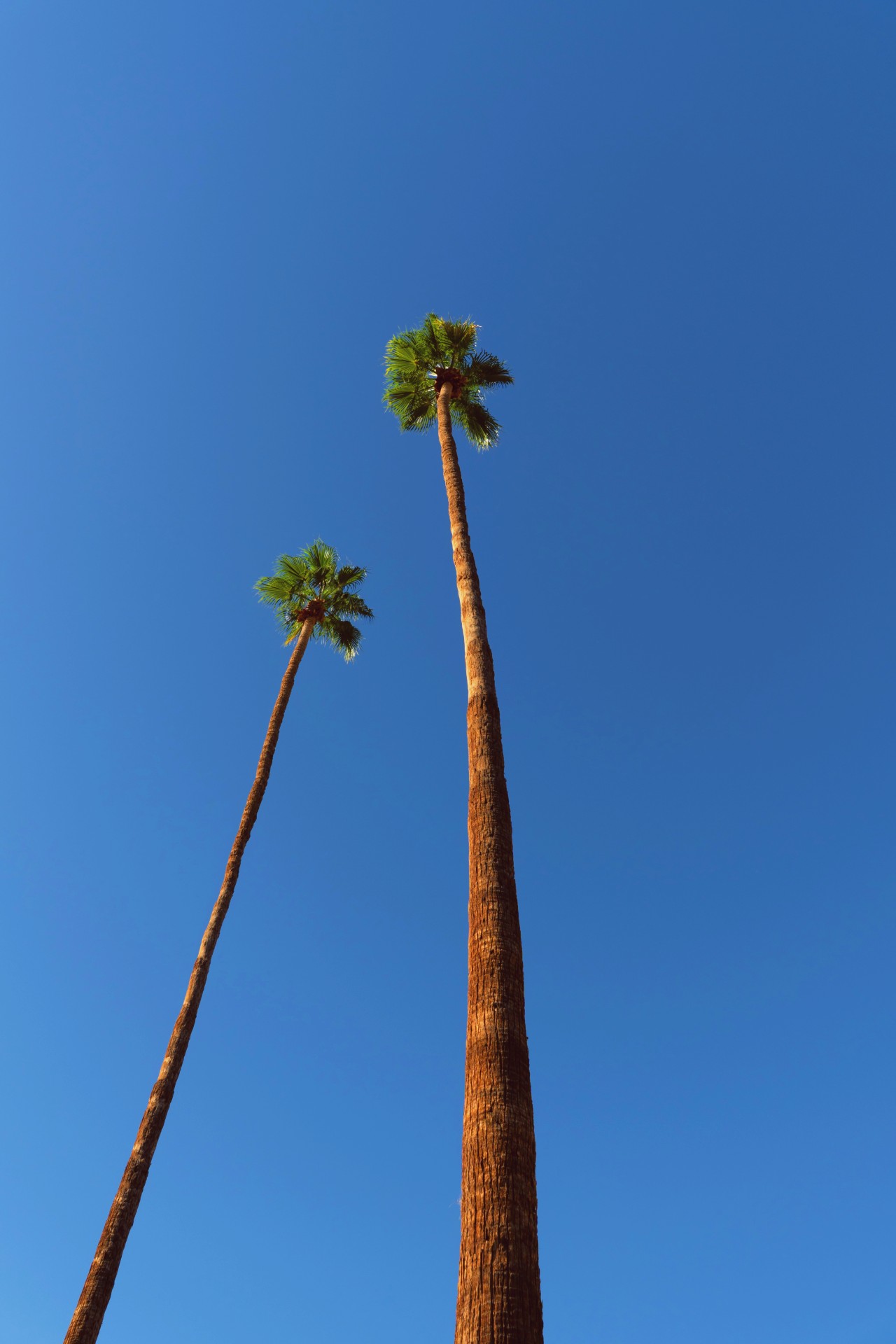 Bearing Off at the Ingleside