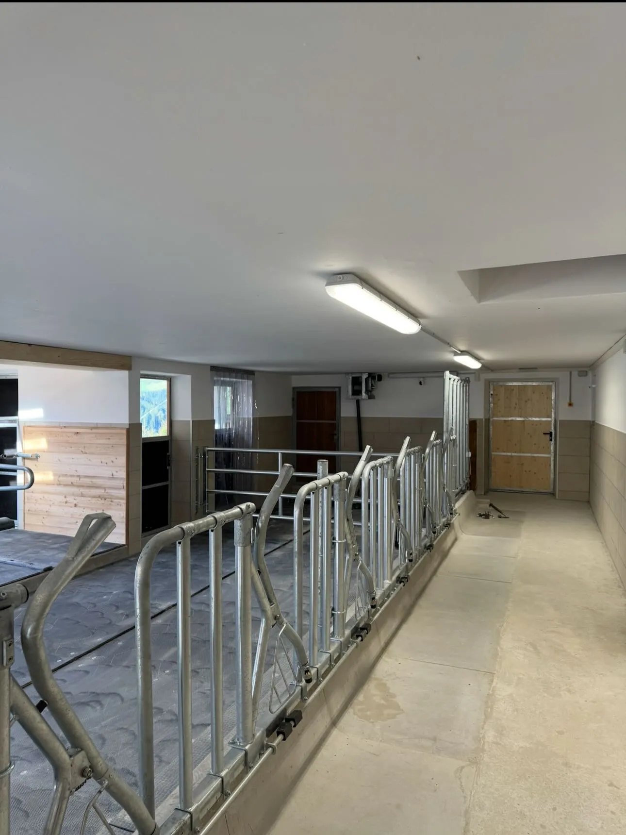 Beleuchtungsanlagen in einem neuen Stall.