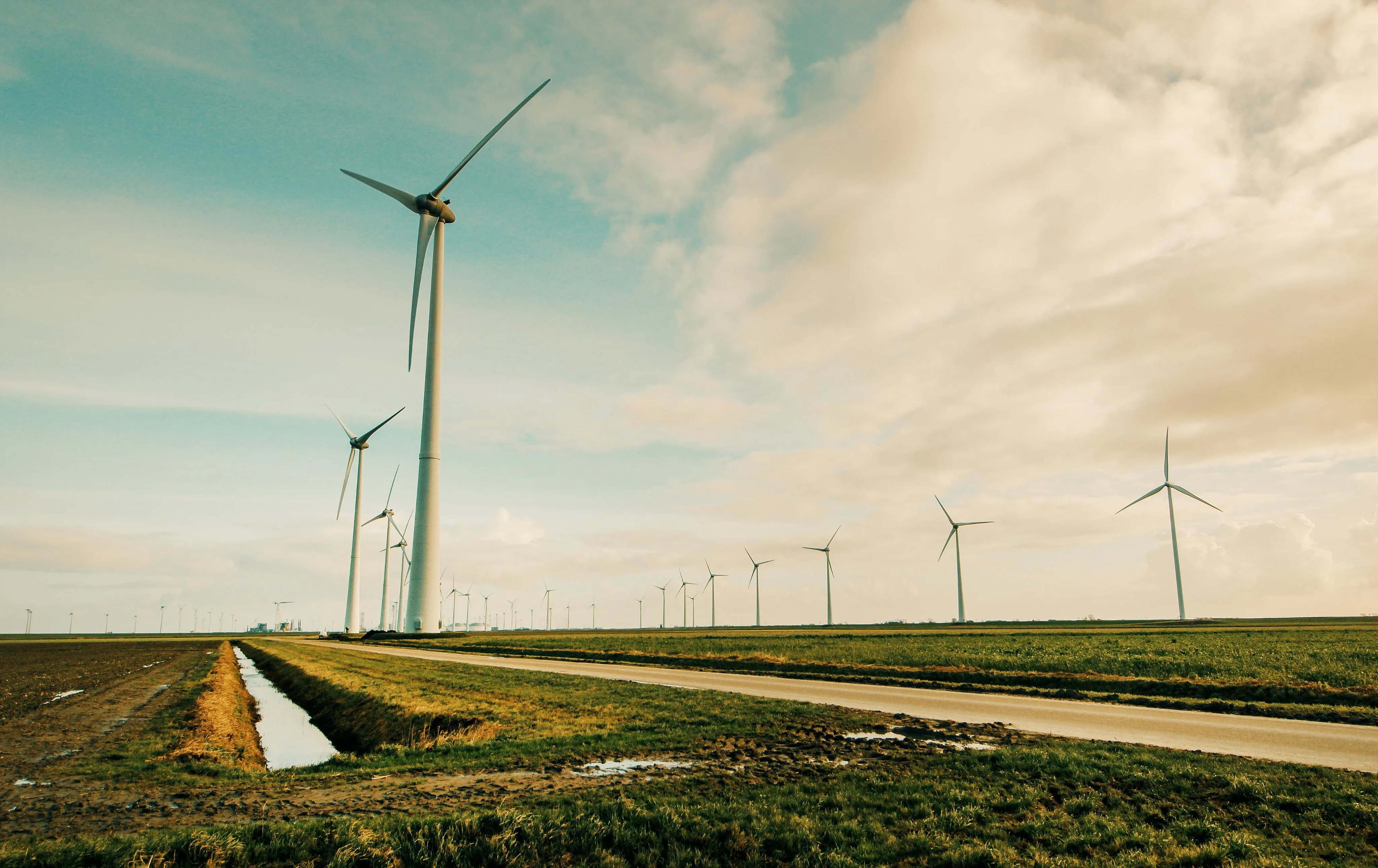 Wind turbines in a field along a highway.