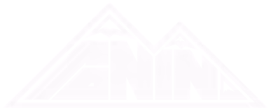 White logo for Ronin.