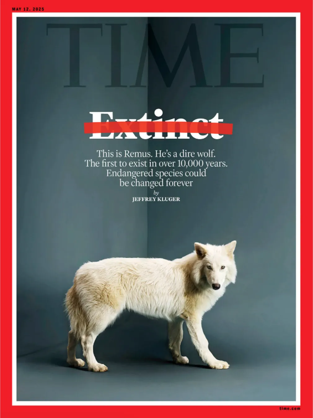 Time magazine cover