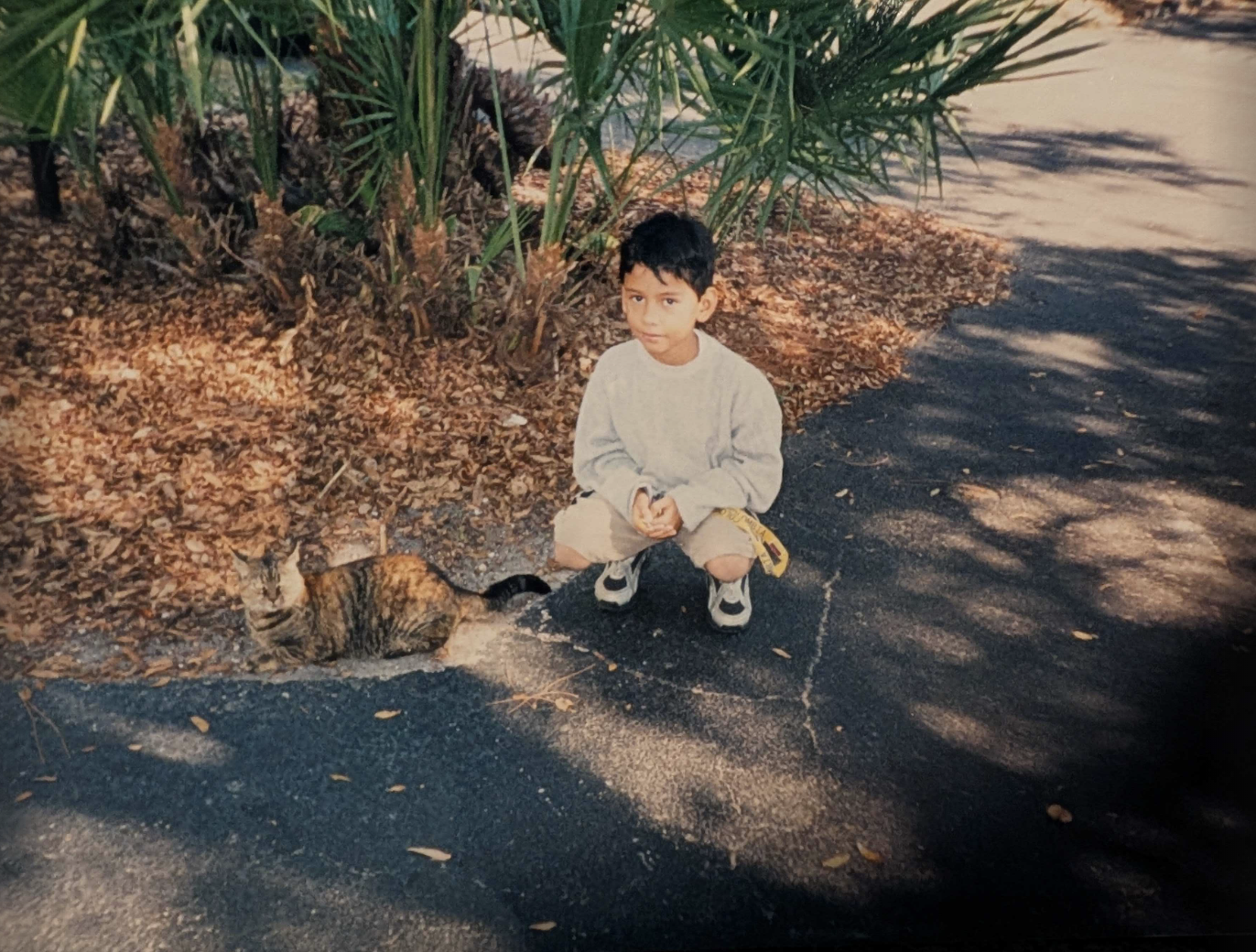 [digital project] image of creative illustrations on a laptop screen