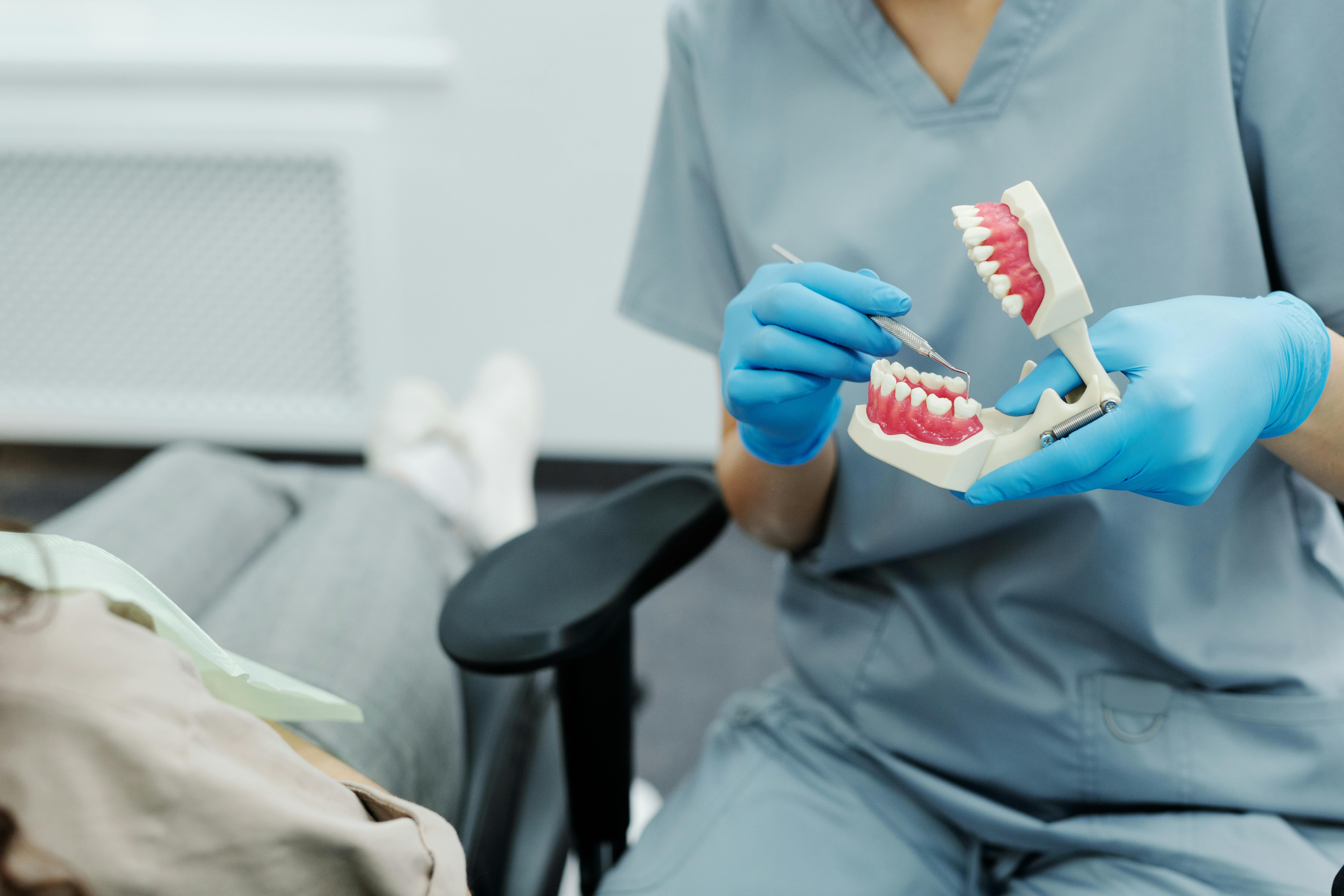 Dental professional wearing blue gloves demonstrating teeth cleaning on a dental model with a tool.