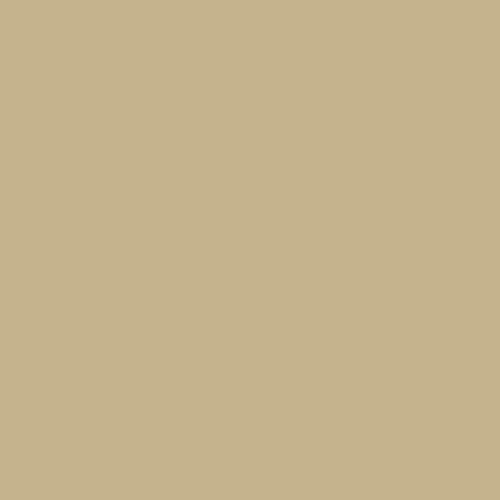 Bear Swatch