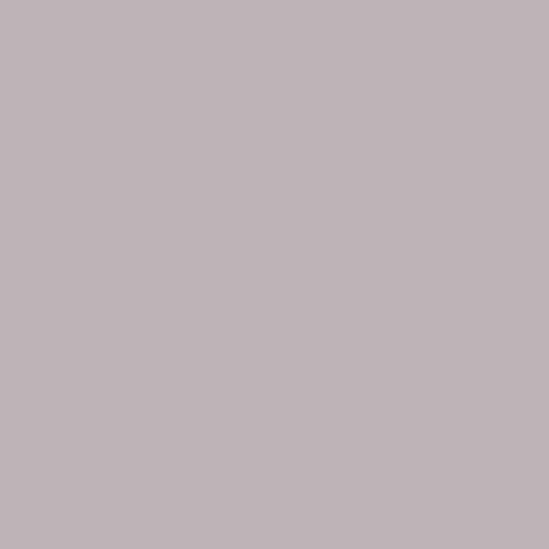 Coastal Gray #180