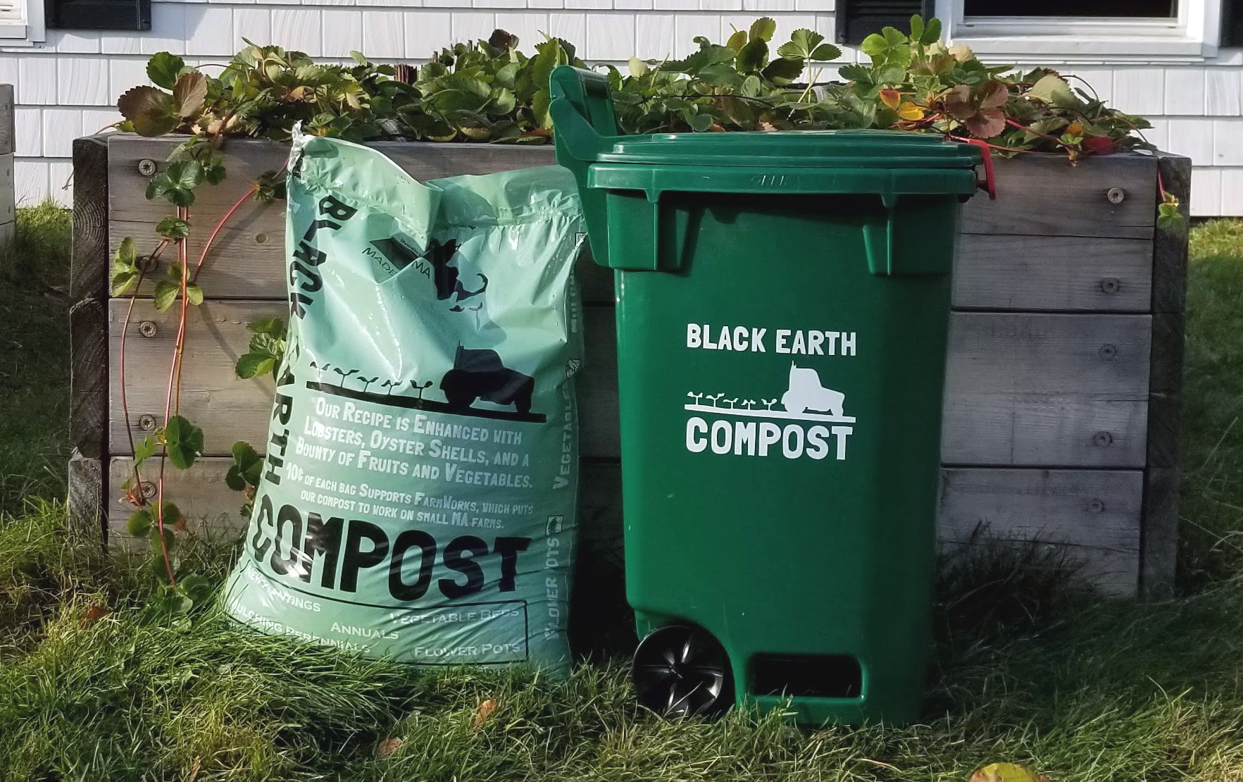 Green compost bin and a bag of Black Earth Compost placed on grass with a wooden planter filled with green plants behind them.