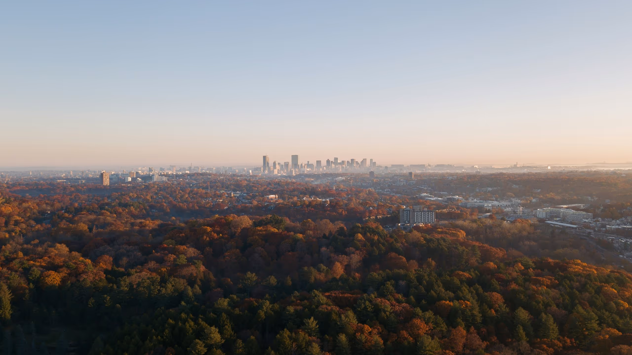 Aerial view of a forest with autumn foliage and a distant city skyline under a clear sky at sunset.