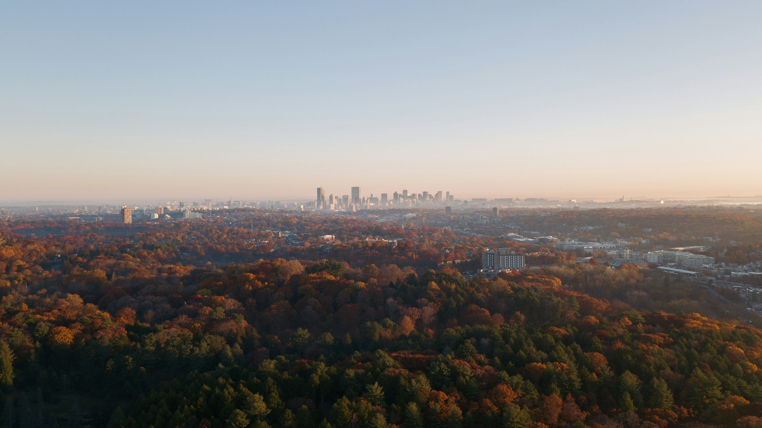 Aerial view of a forest with autumn foliage and a distant city skyline under a clear sky at sunset.