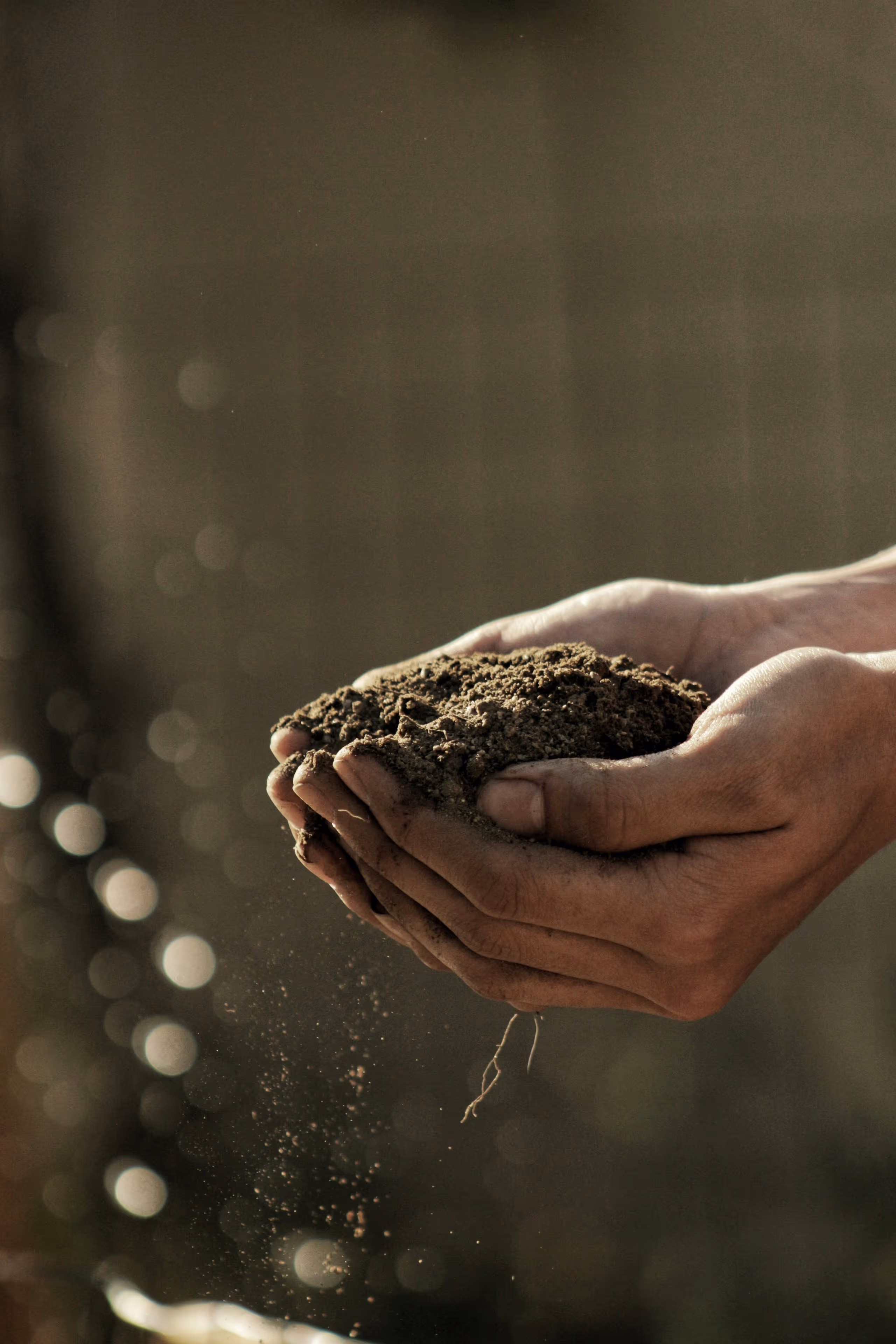 Two hands holding loose soil with particles falling through the fingers.