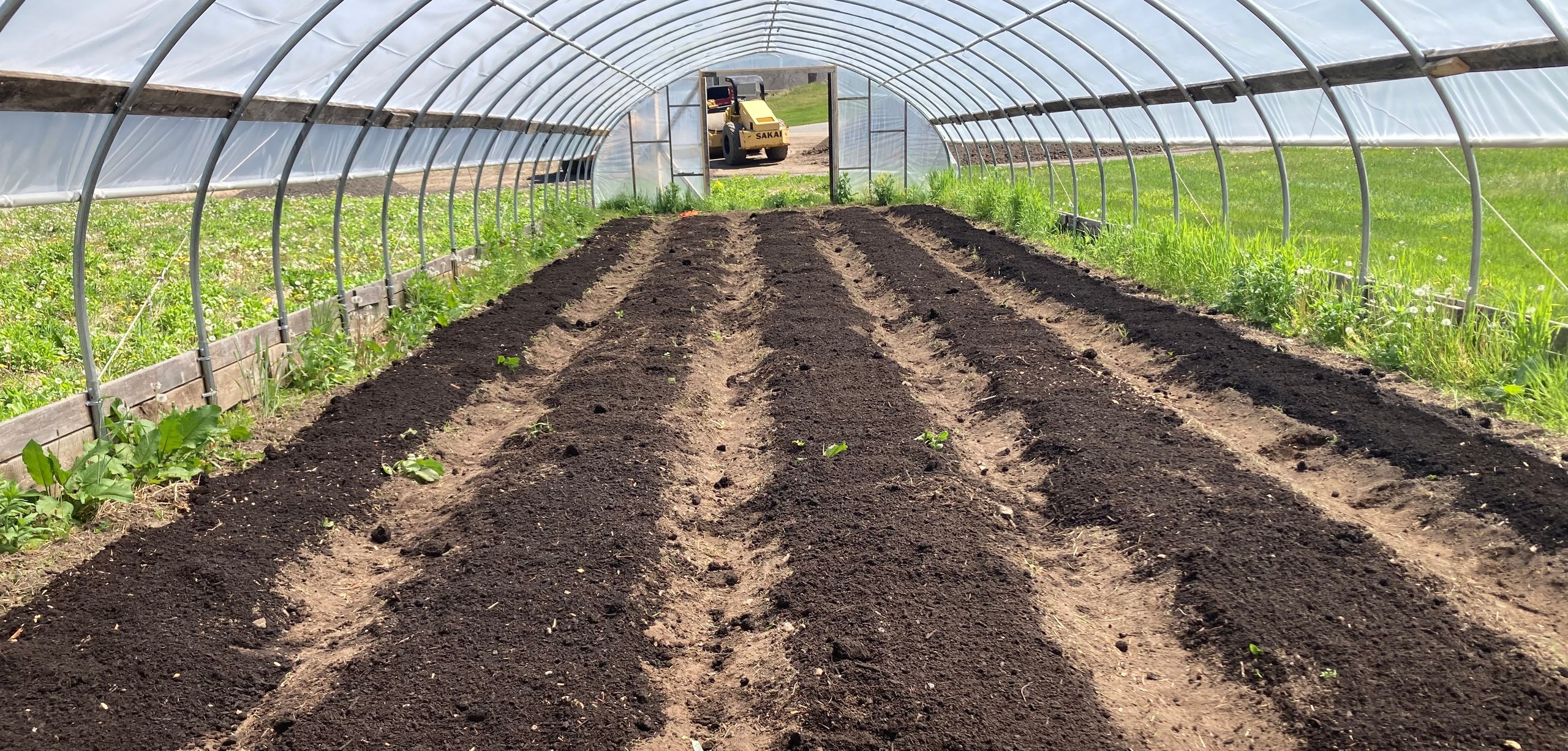 Inside a greenhouse with freshly tilled soil beds arranged in rows ready for planting.