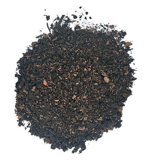 A pile of dark, rich soil with small organic particles on a white background.