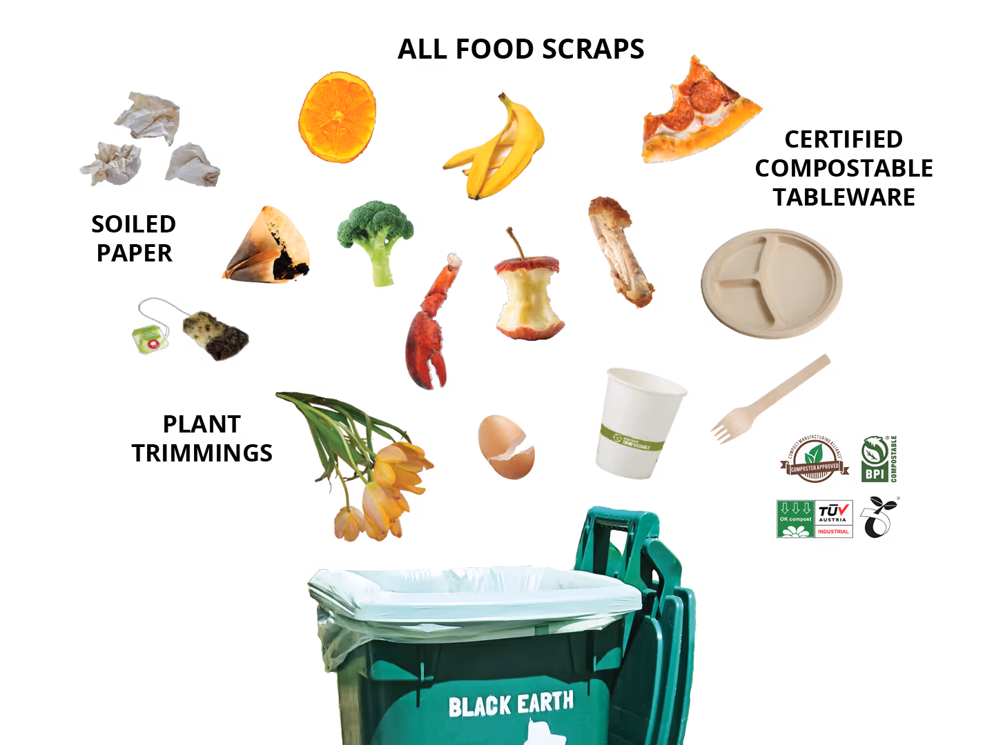 Composting guide showing food scraps like orange slice, banana peel, broccoli, pizza slice, and crab claw; soiled paper like tissues and a tea bag; plant trimmings including flowers; and certified compostable tableware such as a plate, cup, and wooden fork above a green compost bin labeled Black Earth.