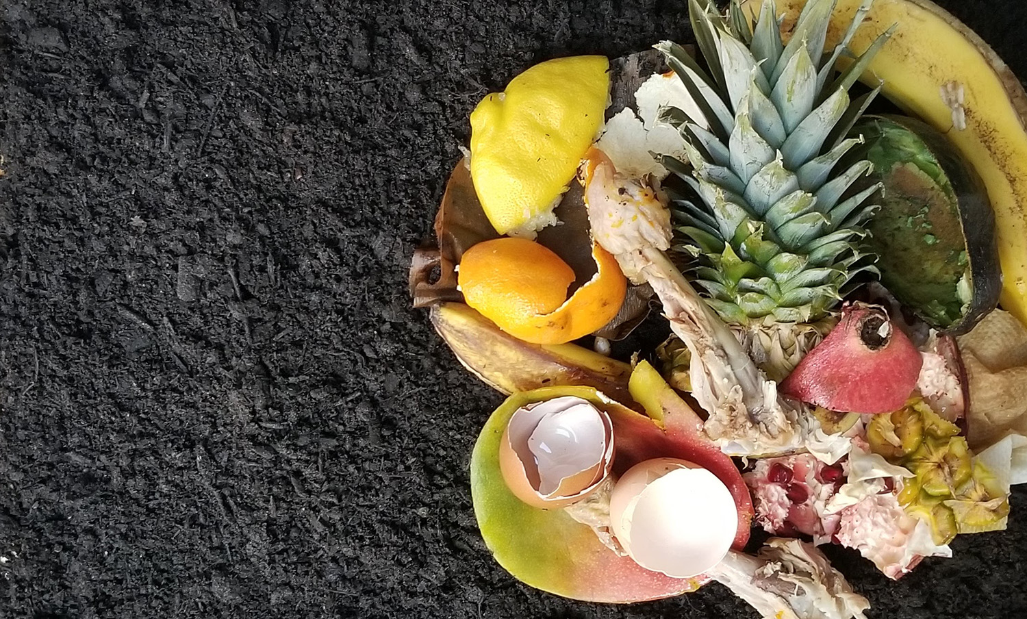 Pile of assorted food scraps including eggshells, chicken bone, pineapple top, banana peel, lemon, orange peel, and avocado on dark compost soil.