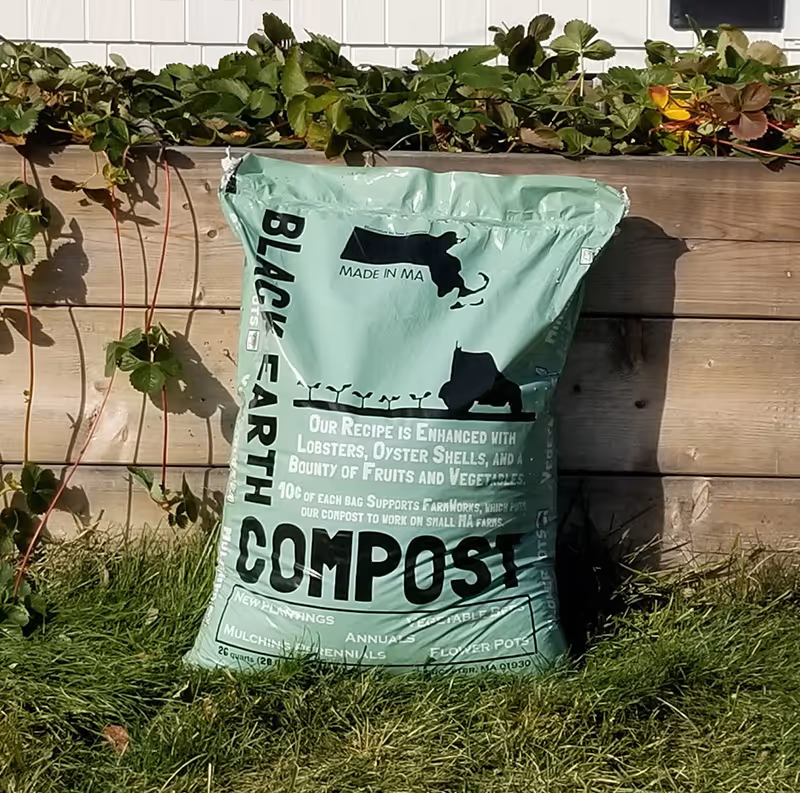 Green bag of Black Earth Compost leaning against a wooden raised garden bed with strawberry plants growing over the edge.