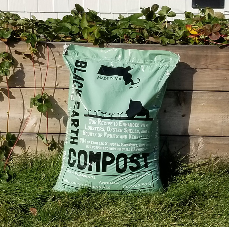 Green bag of Black Earth Compost leaning against a wooden raised garden bed with strawberry plants growing over the edge.