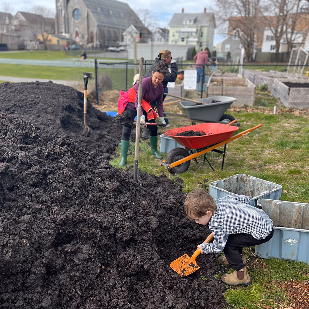 A young boy shoveling soil from a large pile into containers while adults with wheelbarrows work in a community garden near a church and houses.