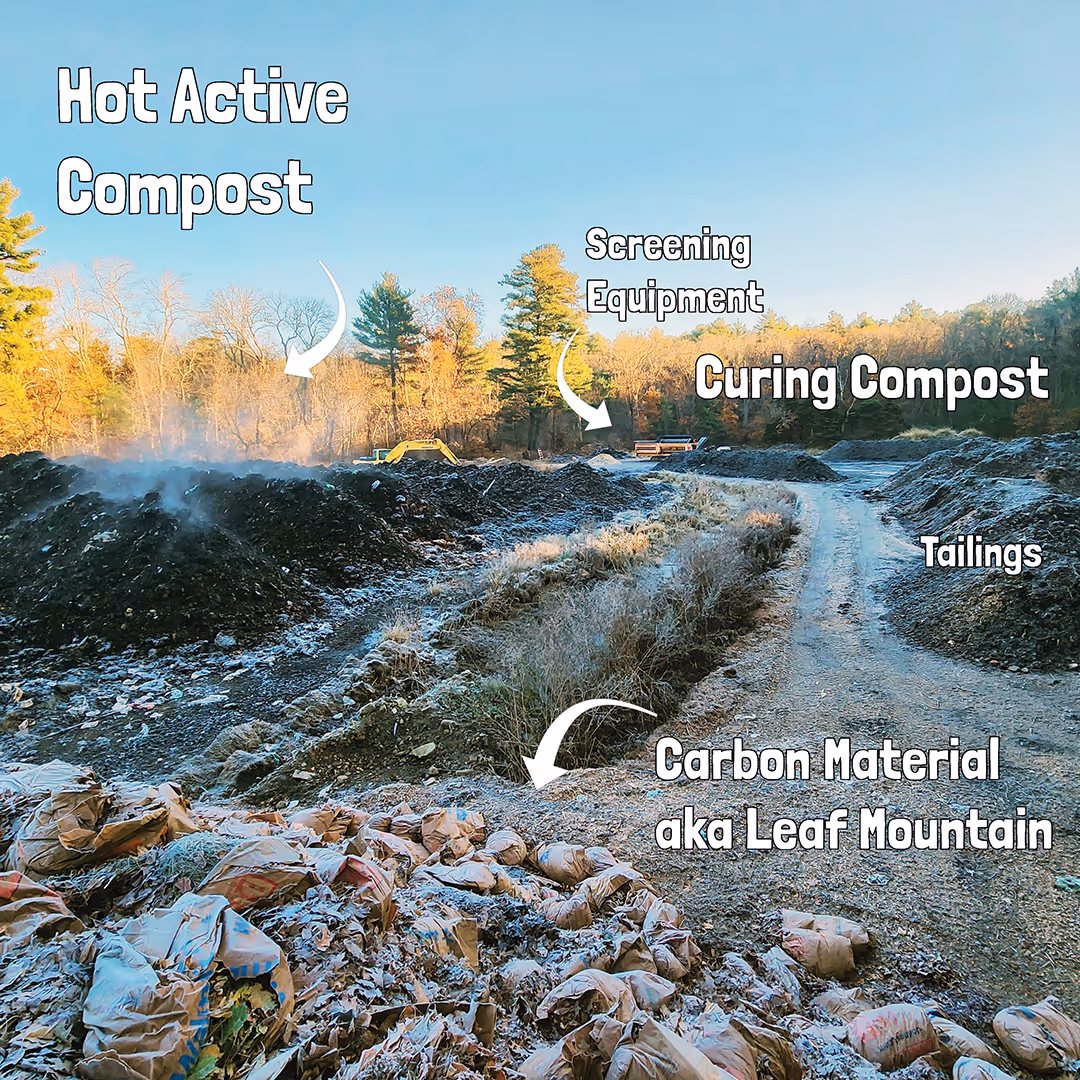 Outdoor composting site with labeled piles including hot active compost emitting steam, curing compost, tailings, and carbon material called leaf mountain, with screening equipment and trees in the background under a clear blue sky.