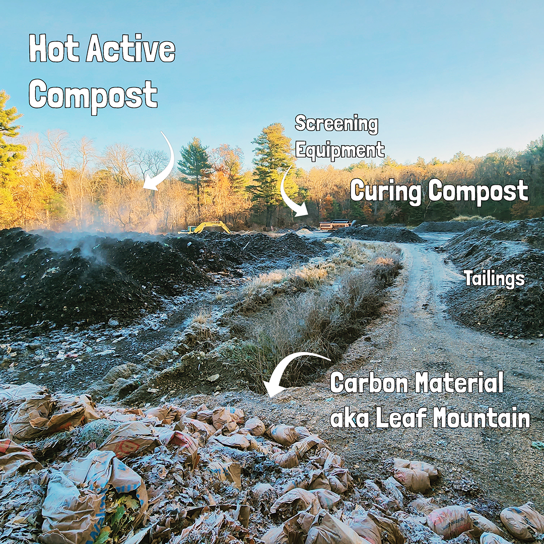 Outdoor composting site with labeled piles including hot active compost emitting steam, curing compost, tailings, and carbon material called leaf mountain, with screening equipment and trees in the background under a clear blue sky.