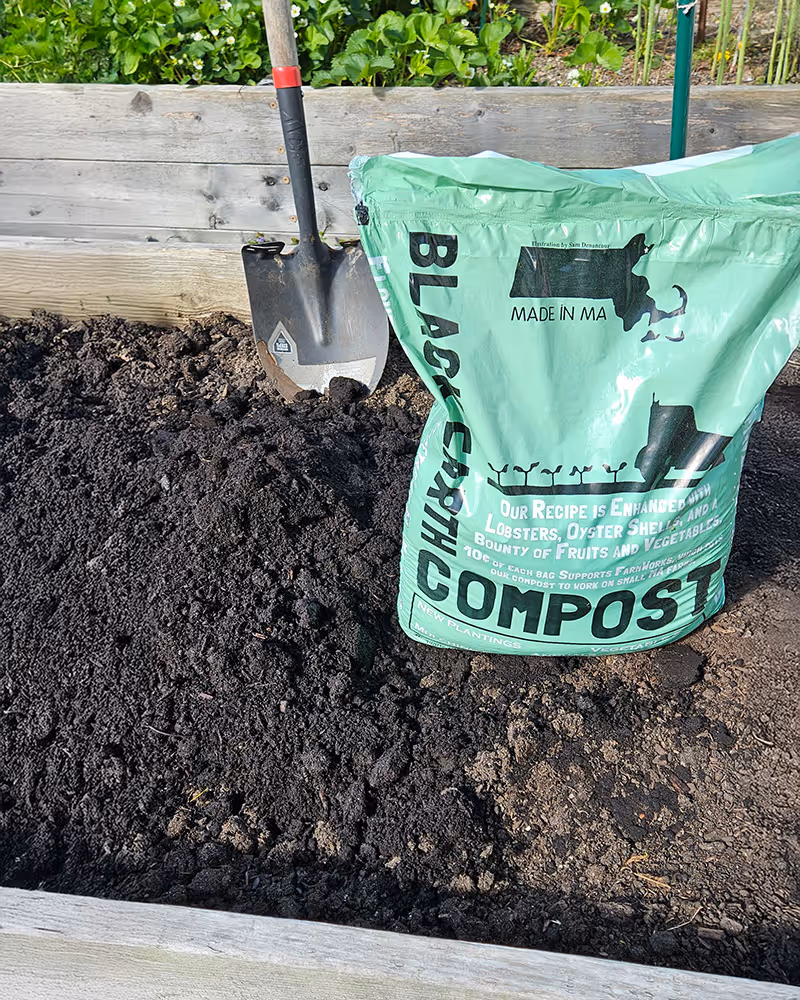Green bag of Black Earth compost next to a shovel in a raised garden bed filled with dark compost soil.