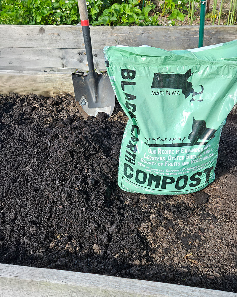 Green bag of Black Earth compost next to a shovel in a raised garden bed filled with dark compost soil.