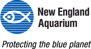 New England Aquarium logo with stylized fish inside blue circle and text 'New England Aquarium' and slogan 'Protecting the blue planet'.